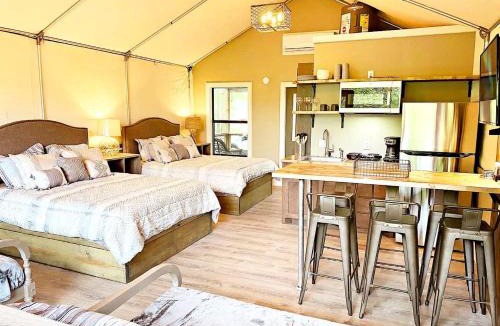 Sutherland Springs Other | Fantastic Waterfront Tented Cabin - Ideal for a Glamping Getaway near San Antonio, Texas