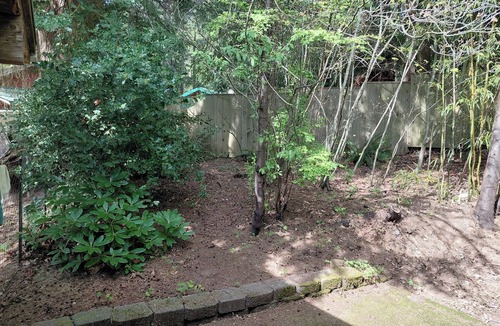 Snohomish House | FIFA travelers! Rustic 1-bedroom bungalow in Snohomish perfect for relaxing