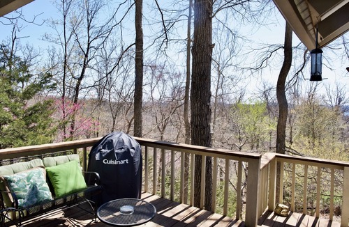 Sylvan Shores Cabin | Glass Front Cabin w/Stunning Lake View - 2 Bedroom/2 Bath