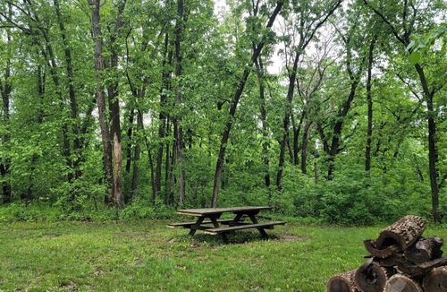 Columbia Apartment | God's Rest Wooded Retreat