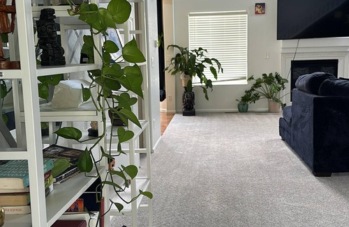 Brighton House | Green and Blue Escape