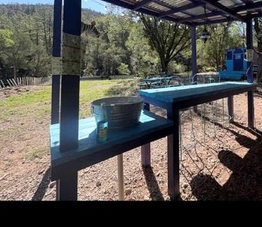 Mayhill House | Groovy Glamping Village & Teardrop Retreat with Outdoor Kitchen near Sacramento Mountains, Mayhill New Mexico