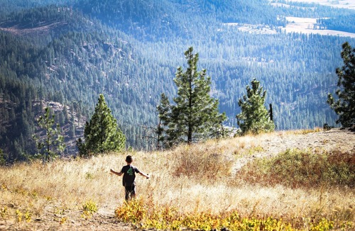 Chewelah Cabin | Head To The Mountains To Refresh