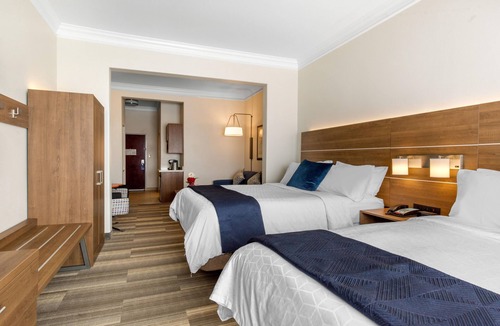 Alvin Hotel | Holiday Inn Express Hotel & Suites Houston-Alvin by IHG
