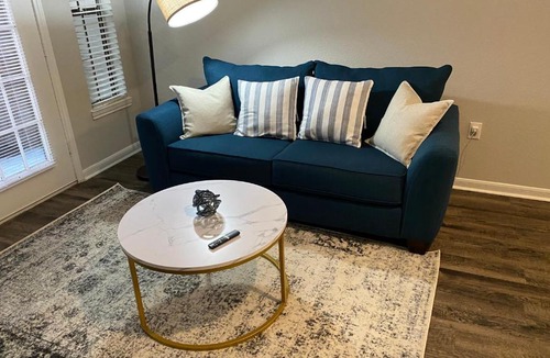 Texas Medical Center Apartment | Houston NRG Stadium Apartment with Pool and Free Parking