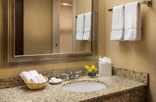 SeaTac Hotel | Just What You Were Looking For! Pets Allowed, Free Parking & Airport Shuttle