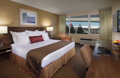 SeaTac Hotel | Just What You Were Looking For! Pets Allowed, Free Parking & Airport Shuttle
