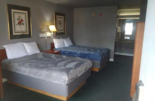 Livingston Apartment | King Bed Hotel Studio 109