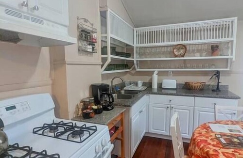 Bywater Bed & Breakfast | Kitchen, Hot Tub, W/D in Bywater near FQ