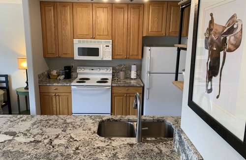 Grand Lake Apartment | Lake Front Rental/Downtown Grand Lake Apt 1 The Chickadee
