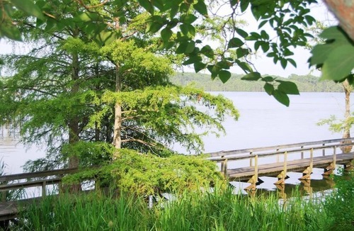 Ferriday Cottage | Lake St John Tranquil Escape