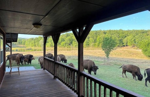 Stilwell Cabin | Lakefront Luxury Camping Amazing Wildlife Preserve