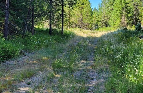 Harvard RV Rental | Large RV site with full hookups, surrounded by trees and nature.