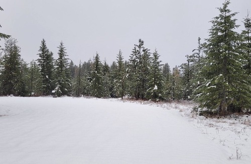 Harvard RV Rental | Large RV site with full hookups on 16 wooded acres. Site B.