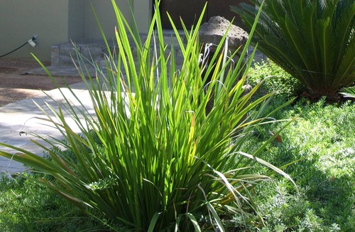 Blenman-Elm House | Large Studio Guesthouse in Central Tucson Historic Neighborhood