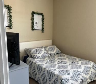 Central Arlington Apartment | Minutes to UTA, AT&T Stadium, Globe Life Field