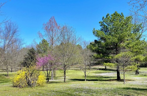 Plainview Cabin | Modern 2 bed cabin 2 miles from Lake Nimrod and within 30 mins of 4 state parks