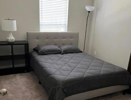 Denton Apartment | Modern Denton Stay,1BR,NearUNT,TW
