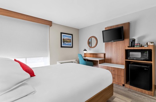 Cheyenne Hotel | Modern Room Deluxe One Queen Bed Pet Friendly Ideal for Both Work & Play