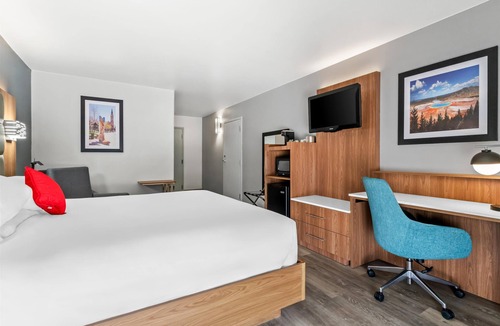 Cheyenne Hotel | Modern Room Deluxe One Queen Bed Pet Friendly Ideal for Both Work & Play
