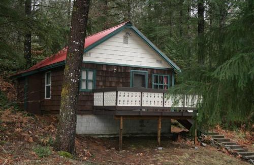 Packwood House | Mountainside Chalet - Tiny Home