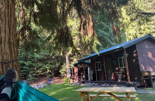 Troy Cabin | Nature Lover's Dream. Tiny Cabin with Grand Serenity.