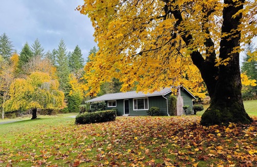 Packwood House | New listing! Cozy, Family-Friendly, 3-bedroom, minutes to downtown Packwood