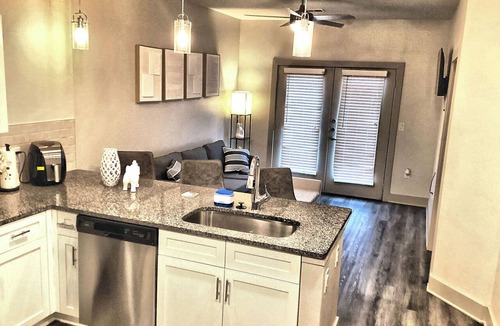 Astrodome Apartment | NEW! -Texas Medical Center-Spacious 1 King 1 Bed 1 Bath-The Middle Of Everywhere