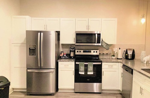Astrodome Apartment | NEW! -Texas Medical Center-Spacious 1 King 1 Bed 1 Bath-The Middle Of Everywhere
