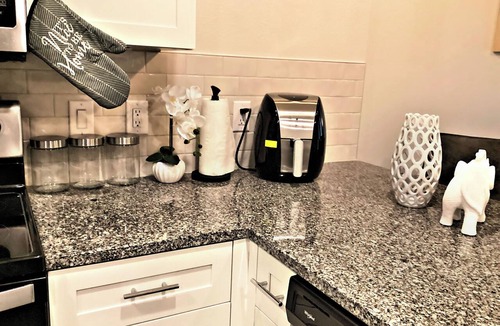 Astrodome Apartment | NEW! -Texas Medical Center-Spacious 1 King 1 Bed 1 Bath-The Middle Of Everywhere