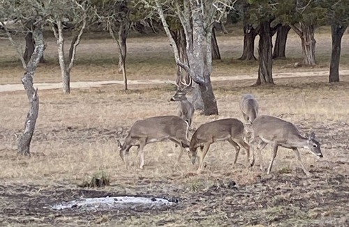 Medina RV Rental | One RV spot with water and electricity. NO dump station. Beautiful Medina Tx