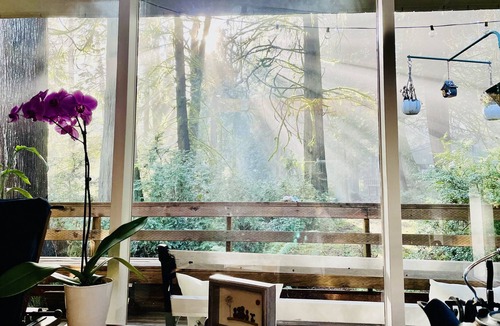 Burley Cabin | Paradise Cabin! Gated community/Close to the beach.