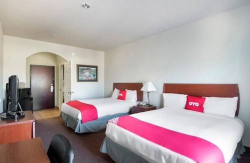 Clute Hotel | Perfect Spot for Budget Travelers Exploring Jackson Park