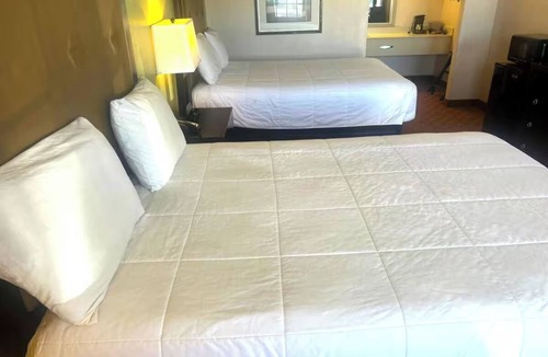 Whitesboro Hotel | Pet-Friendly 2 Queens Room Near Paige Davidson Studio - Great Location - 3 Rooms