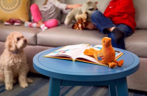 North Dallas House | Pet-Friendly Accommodation! Private Full Kitchen, FREE Parking, Outdoor Pool!