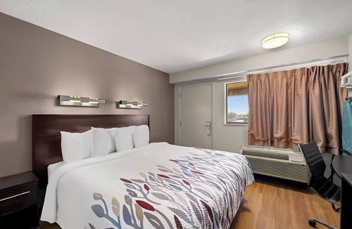 Las Colinas Hotel | Pet-Friendly Hotel | Free Airport Shuttle | Near Six Flags & Stadiums