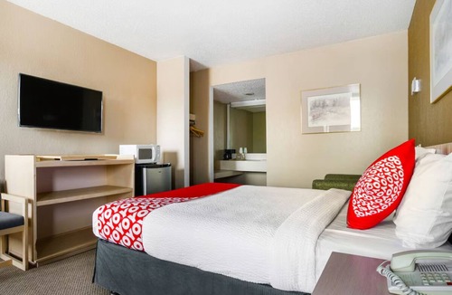 Wichita Falls Hotel | Pet-Friendly Queen Room: Affordable Comfort Near Wichita Falls Attractions