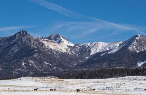 Pagosa Springs Apartment | Pines 4039