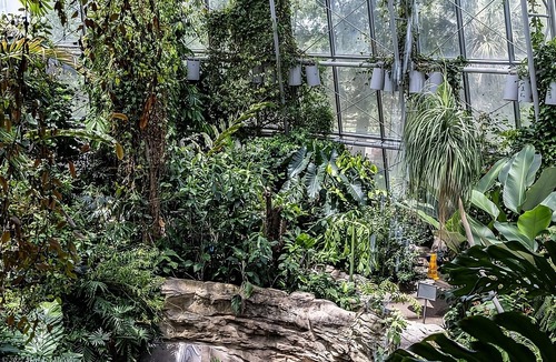Texas Medical Center House | Pleasant Stay, Convenient Location! 3 Modern Units, Close to Museum District