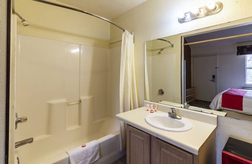 Decatur Hotel | Practical Pet-Friendly Queen Bedroom with Seasonal Outdoor Swimming Pool