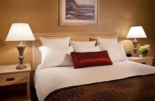 SeaTac Hotel | Relaxing Overnight Stay! Free Parking & Continental Breakfast, Pet-friendly