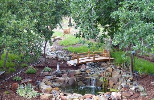 The Pinery Apartment | Relaxing Retreat with Full Kitchen, King bed, W/D & wildlife
