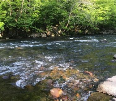 Townsend Ski Chalet | River Escape