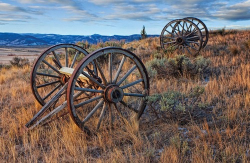 Grand Elk Ranch Resort | Rocky Mountain Preserve Resort 1bdr Deluxe