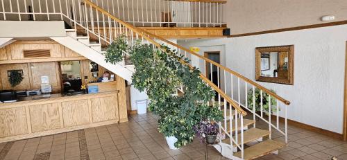 Roswell Hotel | Rodeway Inn Roswell