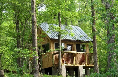 Hartshorn Cabin | Rustic Cabin Rental with Stunning Forest Views in the Ozarks, Missouri