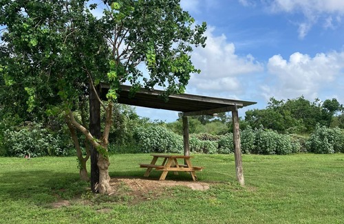 Aransas Pass House | Rustic Coastal 2BR on 6 Acres - 3 miles from Harbor and 12 minutes from Port A