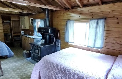 Bellvue Cabin | Rustic Glamping Cabin near Poudre River, Perfect for a Weekend of Fishing and Watching Wildlife