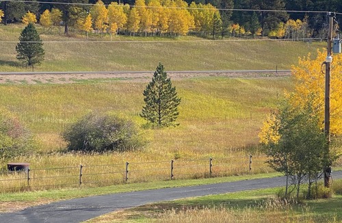 Weston County Cabin | Rustic Small Cabin in the Black Hills of Wy. Snowmobile right out the drive!
