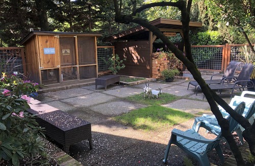Eastlake Cottage | Seattle Carriage House: Private Urban Retreat with Chickens